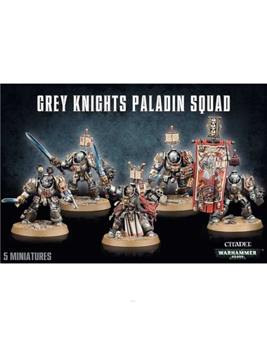 Space Marines Grey Knights Paladins